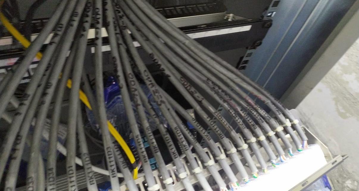 Cat6 Kablo Sonlandırma ve Sistematik Port Etiketleme Detayı - Bozüyük Güvenlik